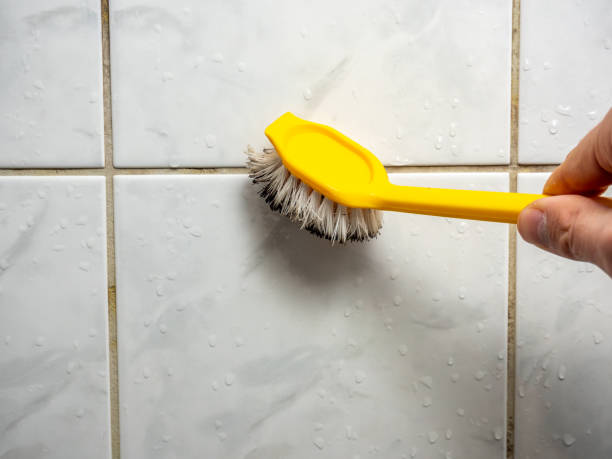 Best Mold Removal Near Me  in Hillsbo, OR