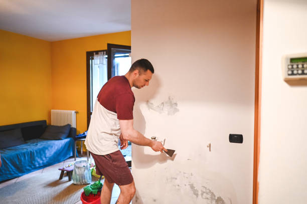 Best Mold Removal Company Near Me  in Hillsbo, OR