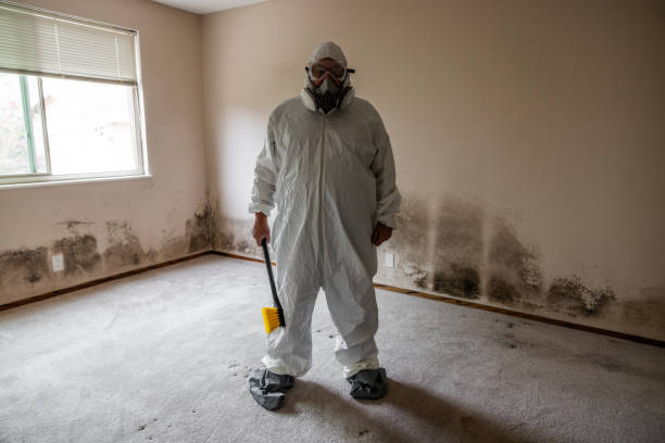 Reliable Hillsboro, OR Mold Removal Solutions